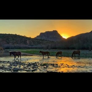 Meet your Posher, Sue